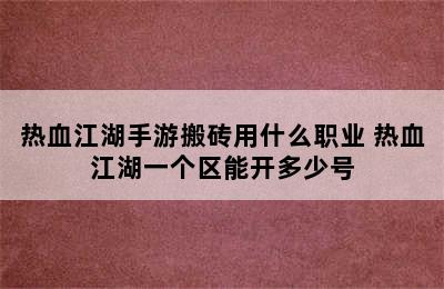 热血江湖手游搬砖用什么职业 热血江湖一个区能开多少号